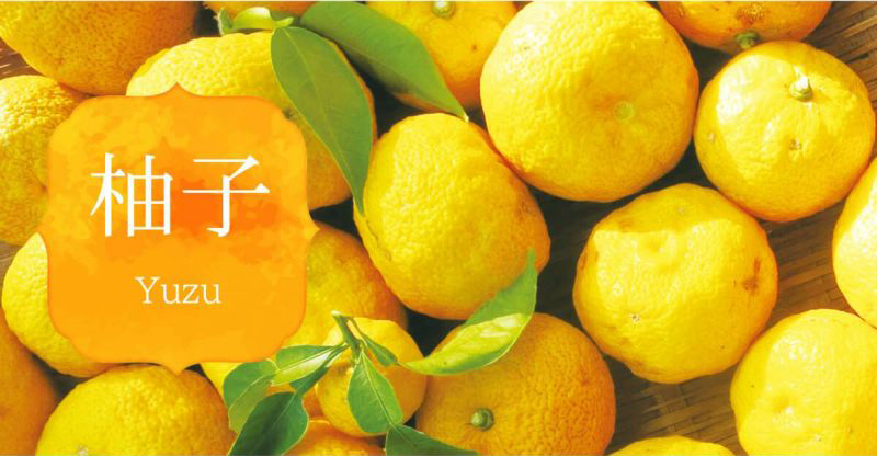 柚子屋のゆず茶 - ギフトギャラリー オズ